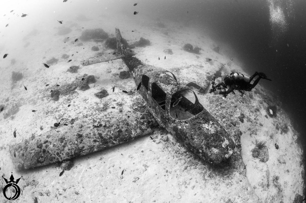 Club Hari Dive Resort Moalboal Exterior foto
